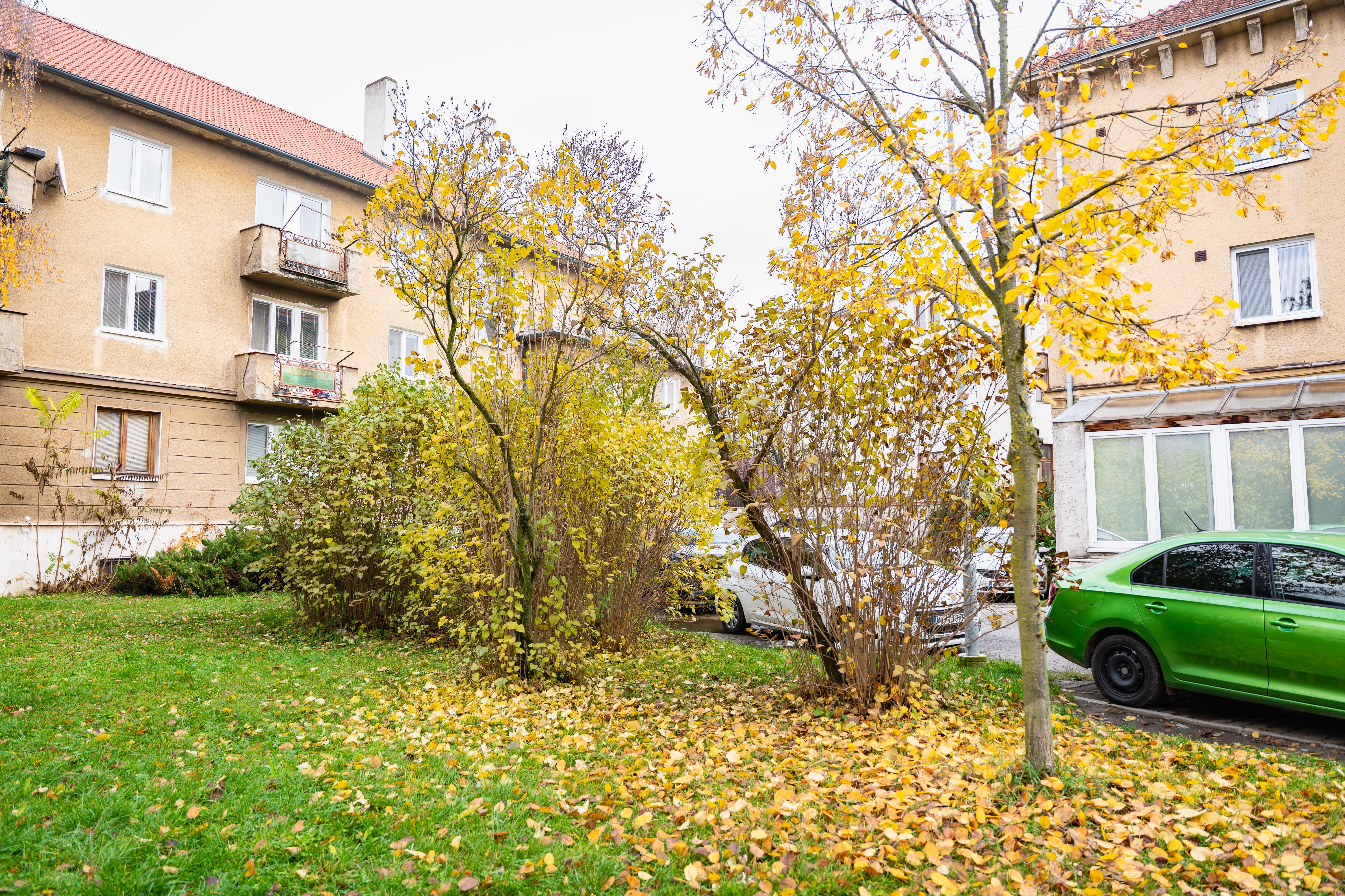 Odovzdanie staveniska - Pasteurovo nam.-38